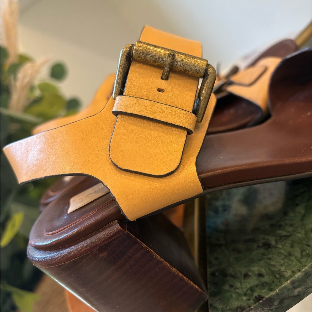 Seebychloe - Picture 8 of 10